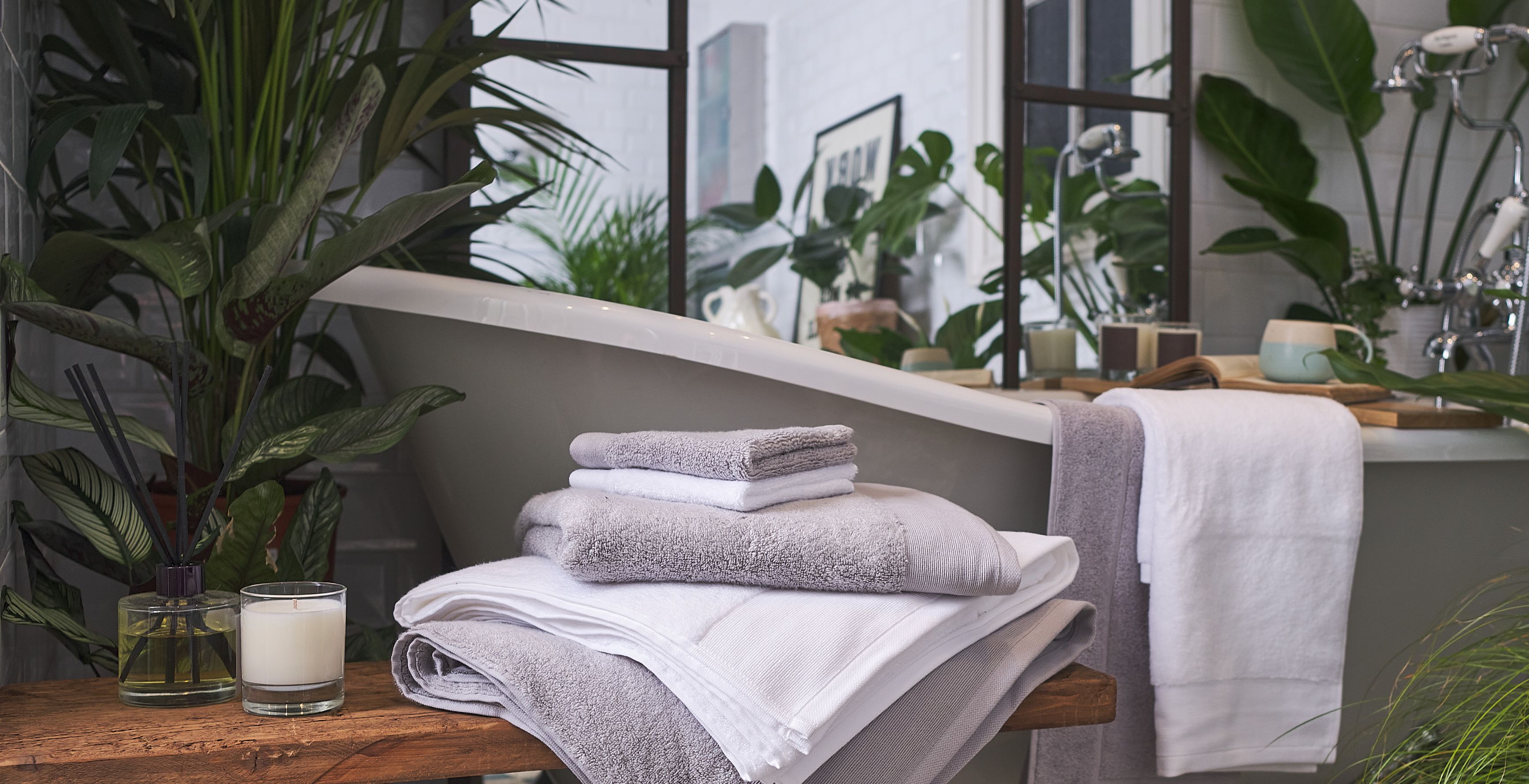Bathroom Towels and plants