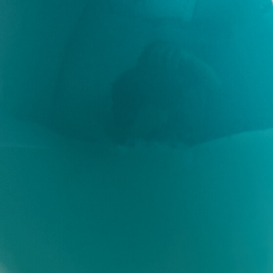 Turquoise